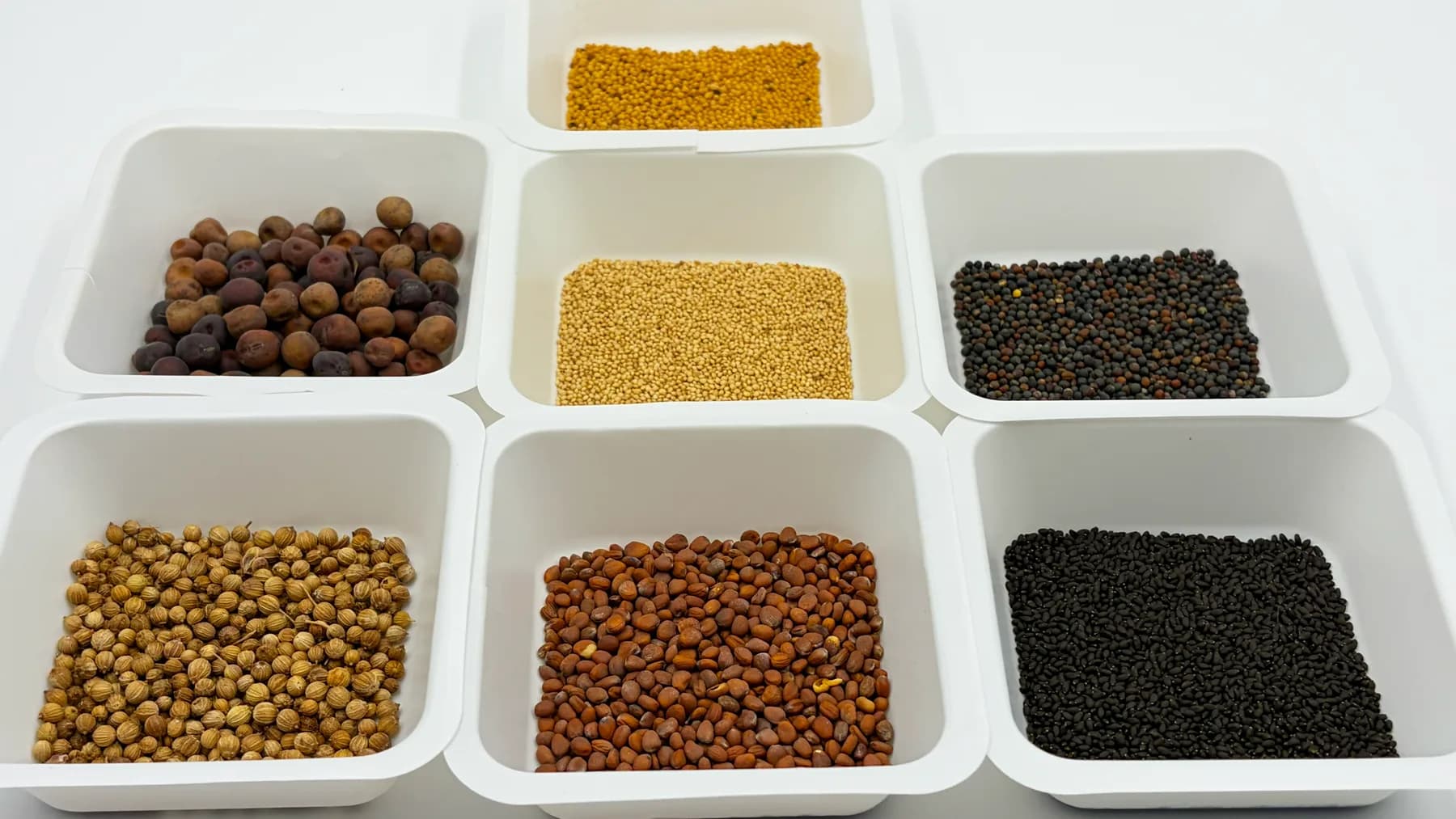 Seed for six LUYA crops, in separate dishes
