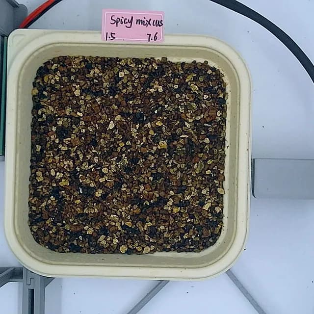 Spicy Mix at the germination stage, from above