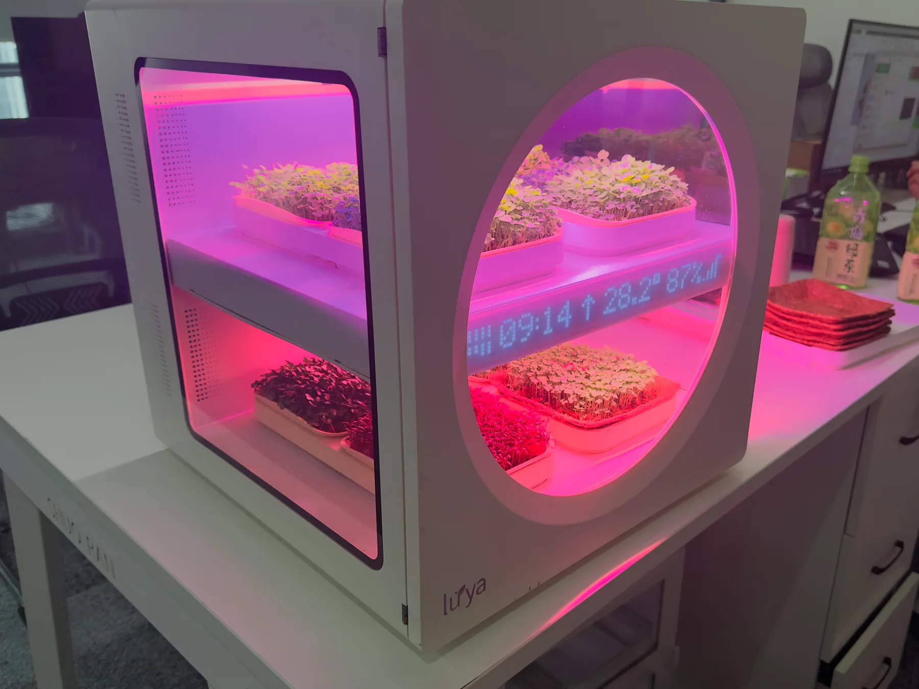 Luya X-1 with its door open, two lit levels of trays growing inside