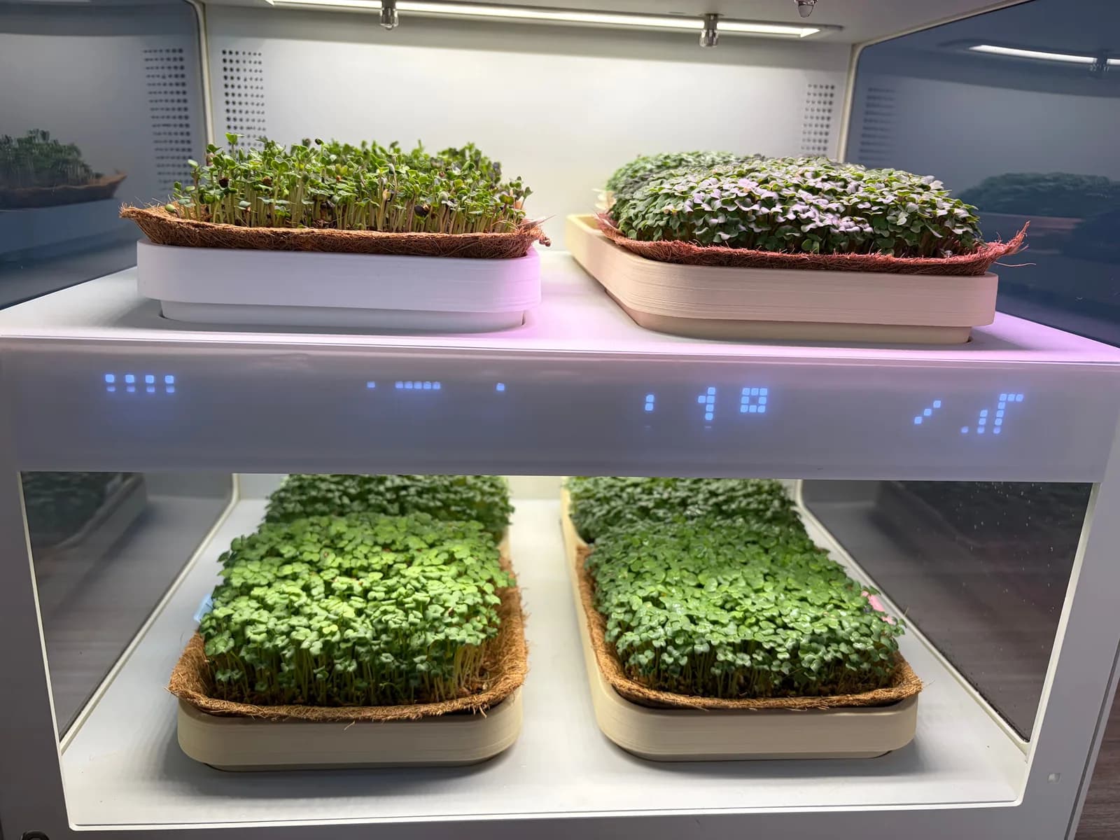 Trays on the shelves inside Luya X-1