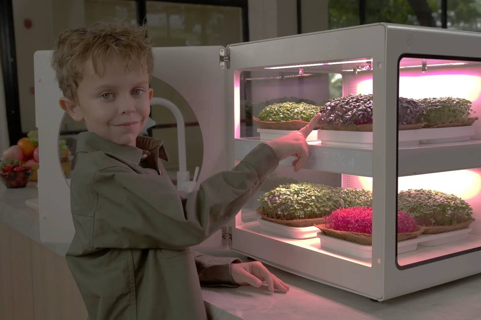 Fresh Microgreens at Home: The Buyer's Case for Grow-and-Eat