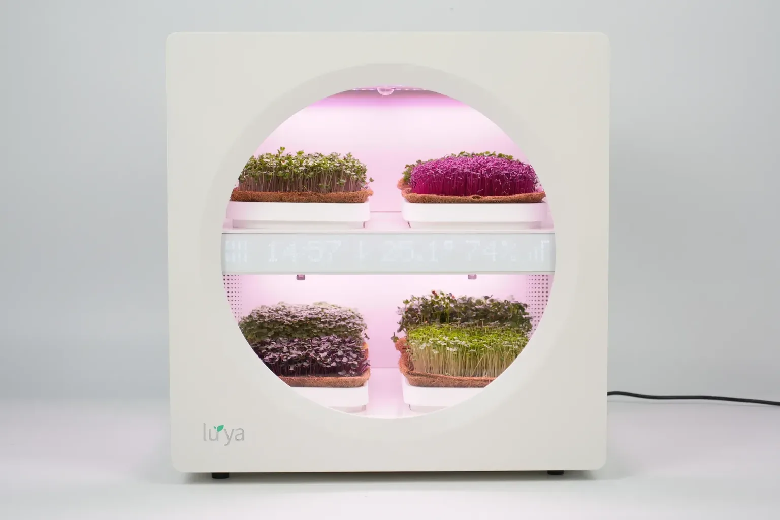 The Future of Home Farming: AI, Vertical Growing & Your Kitchen