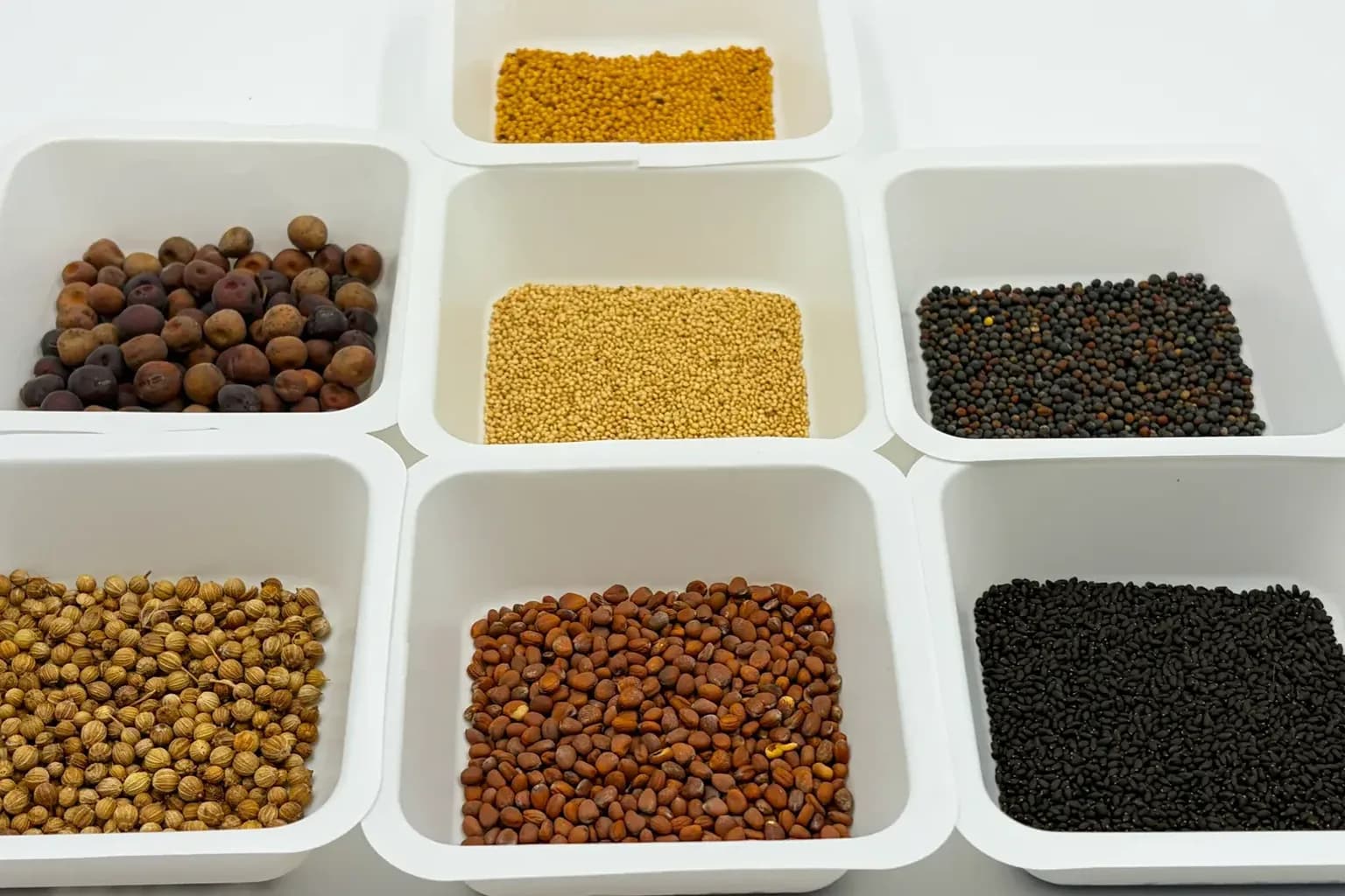 Microgreen Seed Density: How Much to Sow by Crop