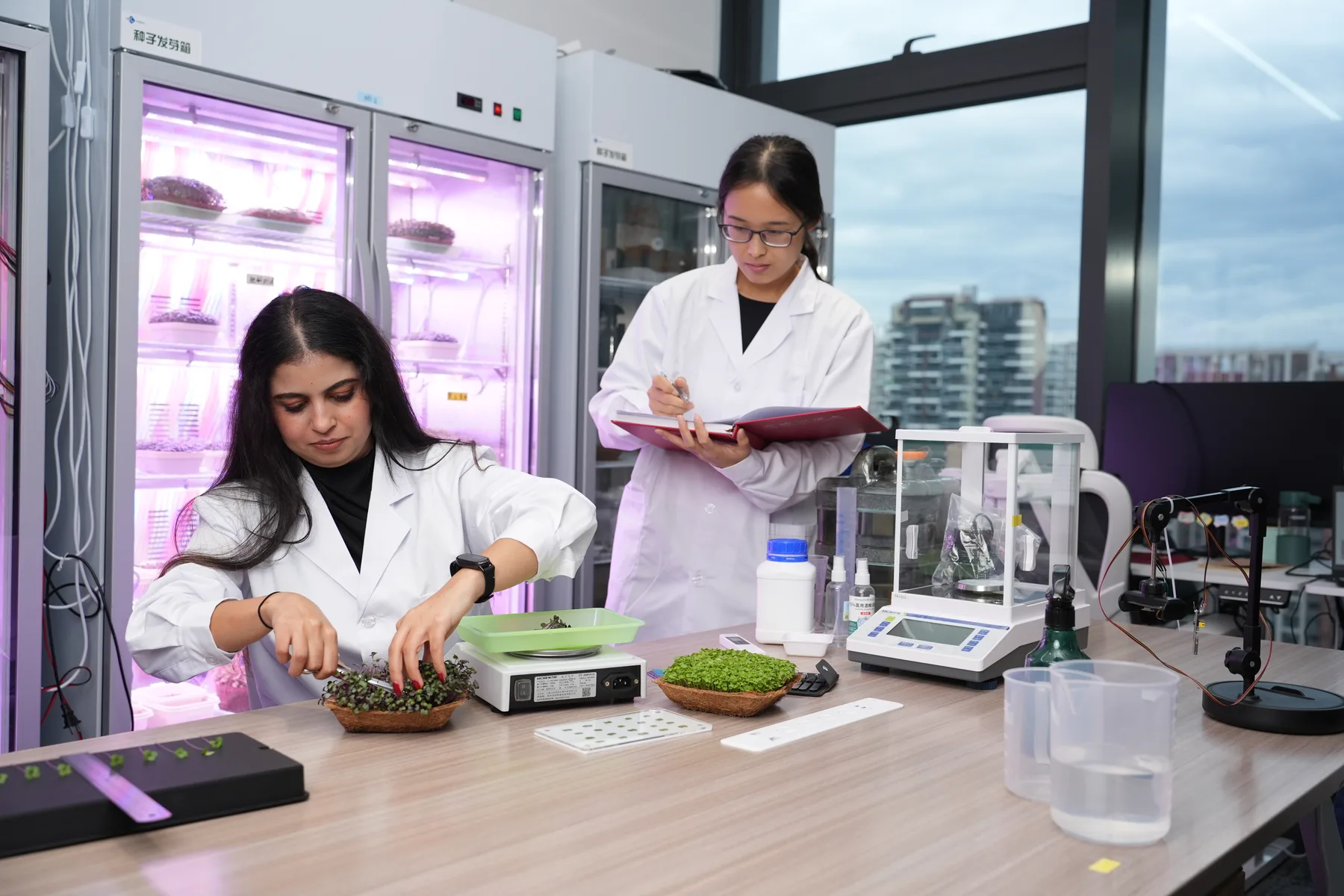 Two researchers in lab coats at a laboratory bench, one handling a tray of microgreens beside a small balance, the other standing behind writing in an open folder, growth chambers lit magenta along the wall