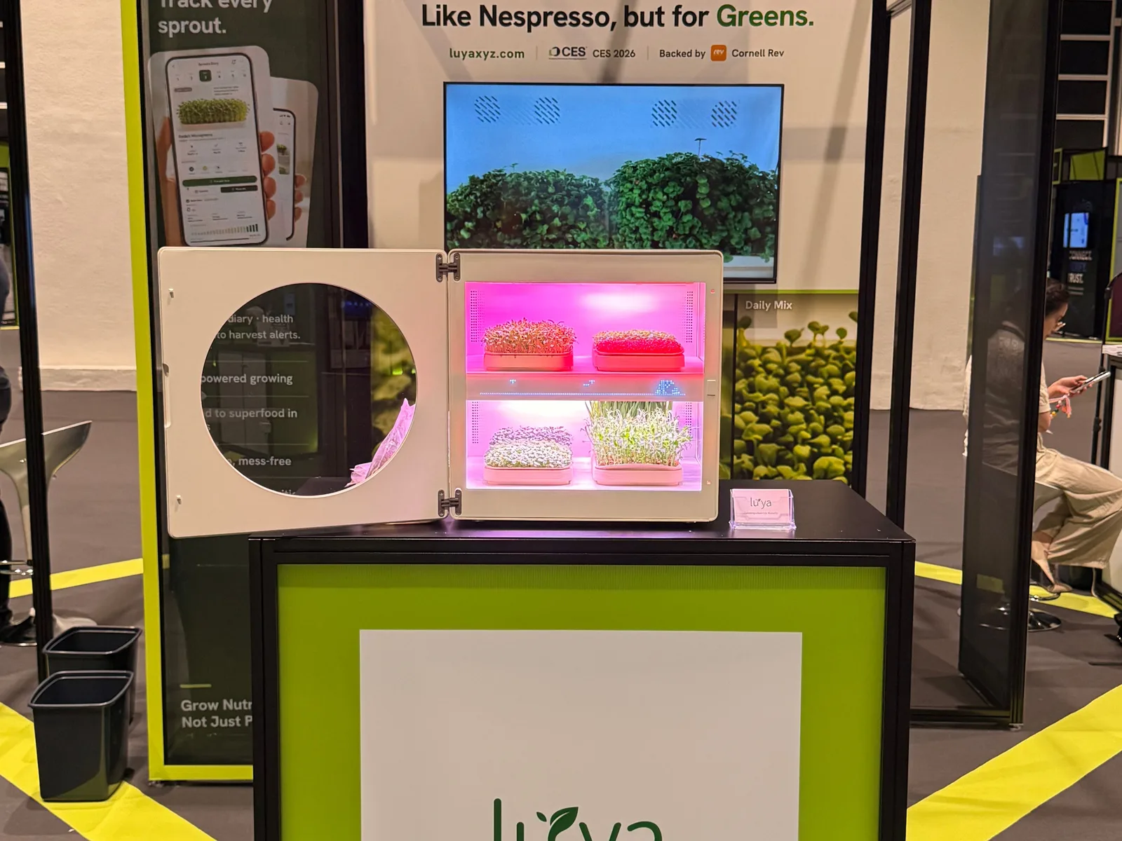 The LUYA stand at Leap East, with a Luya X-1 growing on the counter