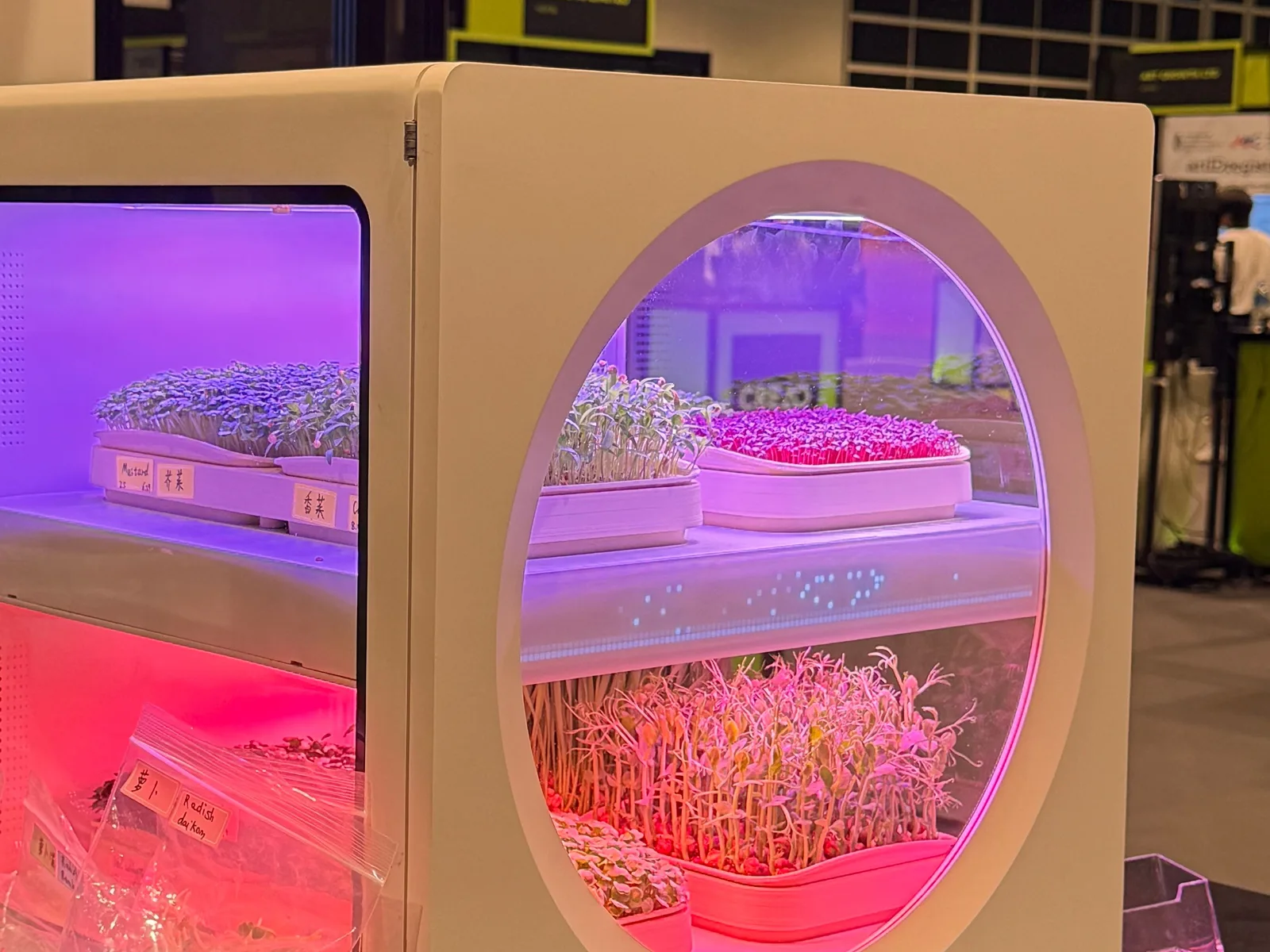A Luya X-1 running at the stand, trays lit and growing