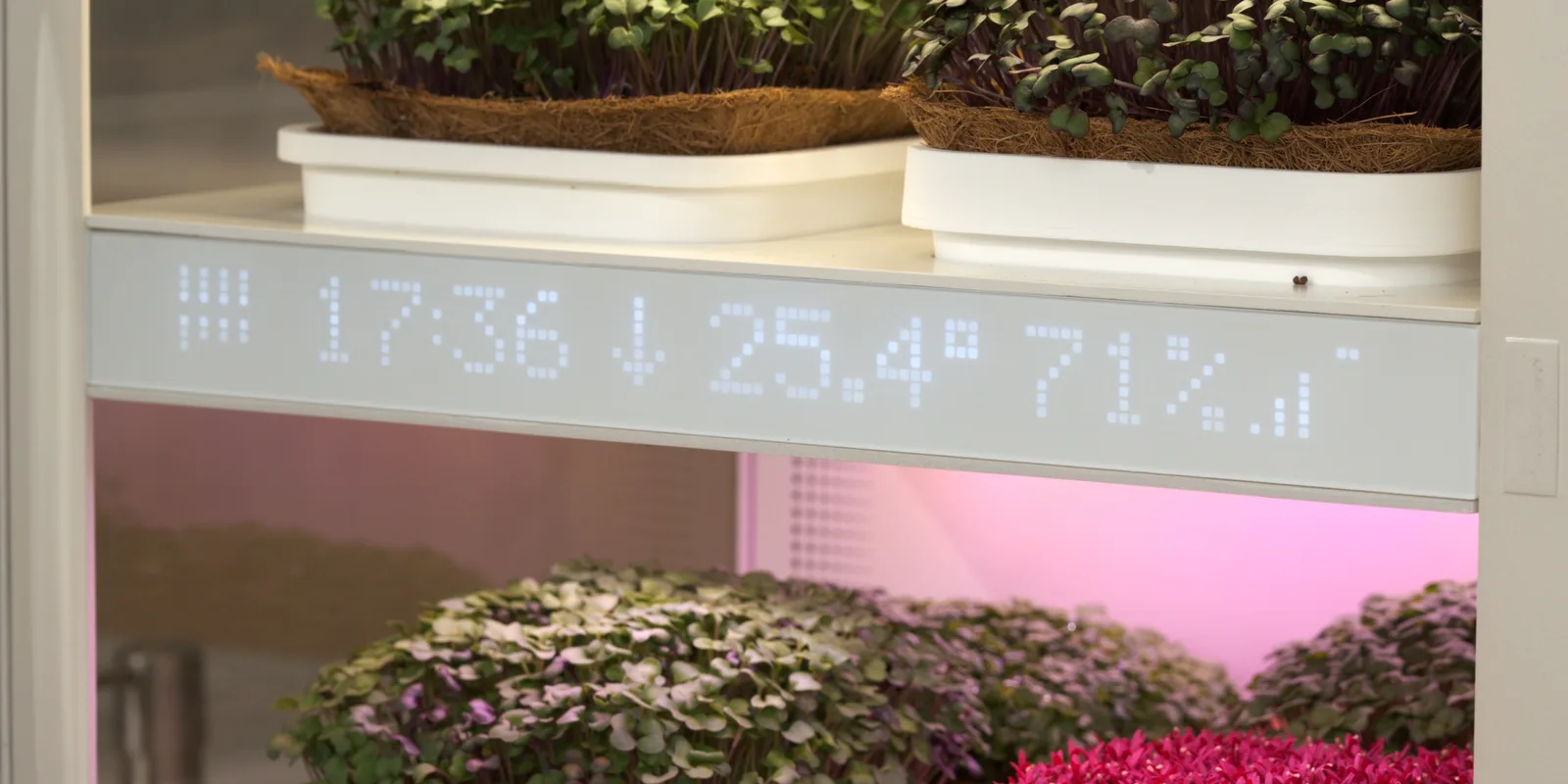 Detail: the front display, showing time, temperature and humidity live