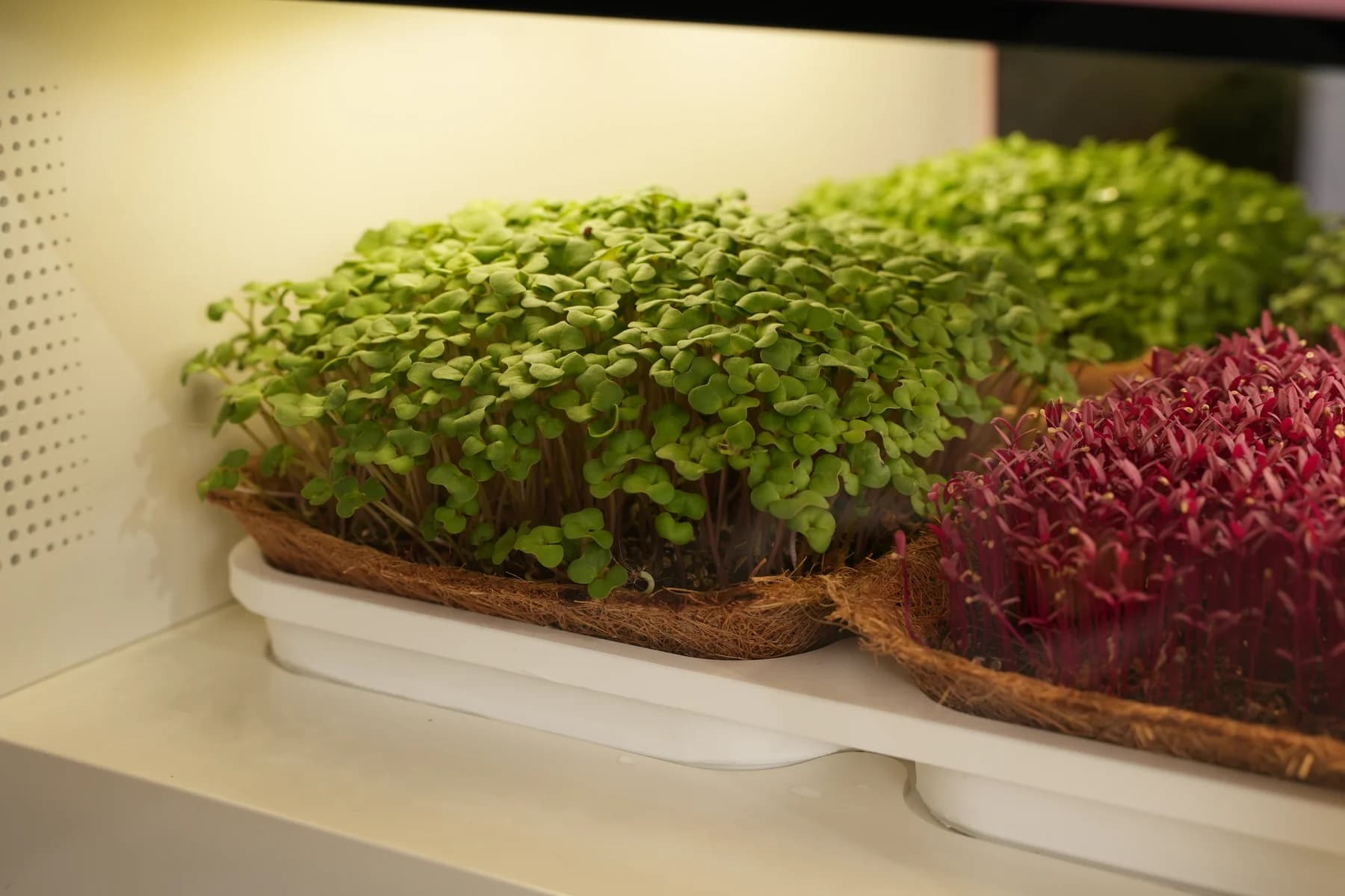 A closer look at growth.