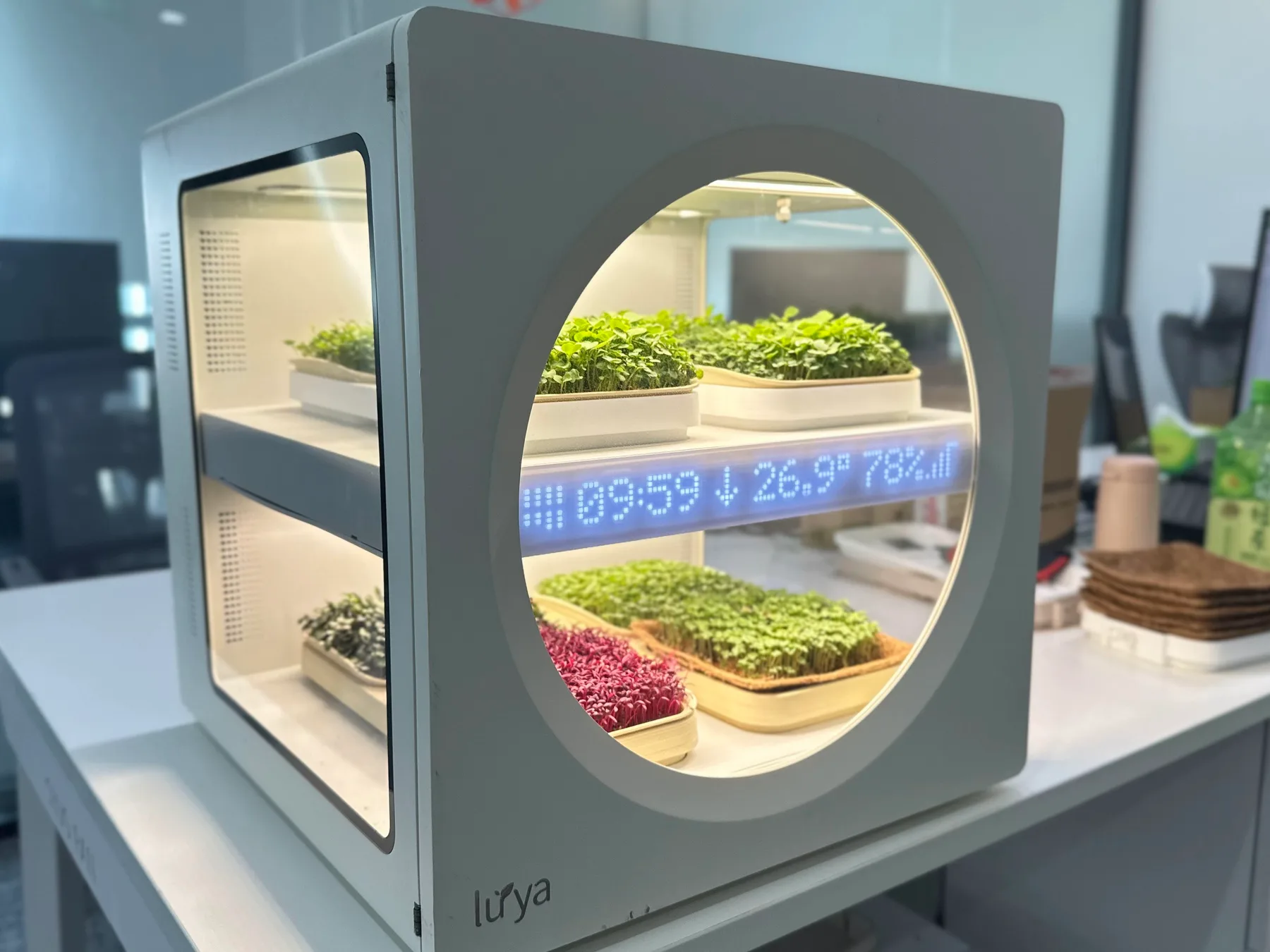 Luya X-1, the countertop growing system, with trays of microgreens lit inside