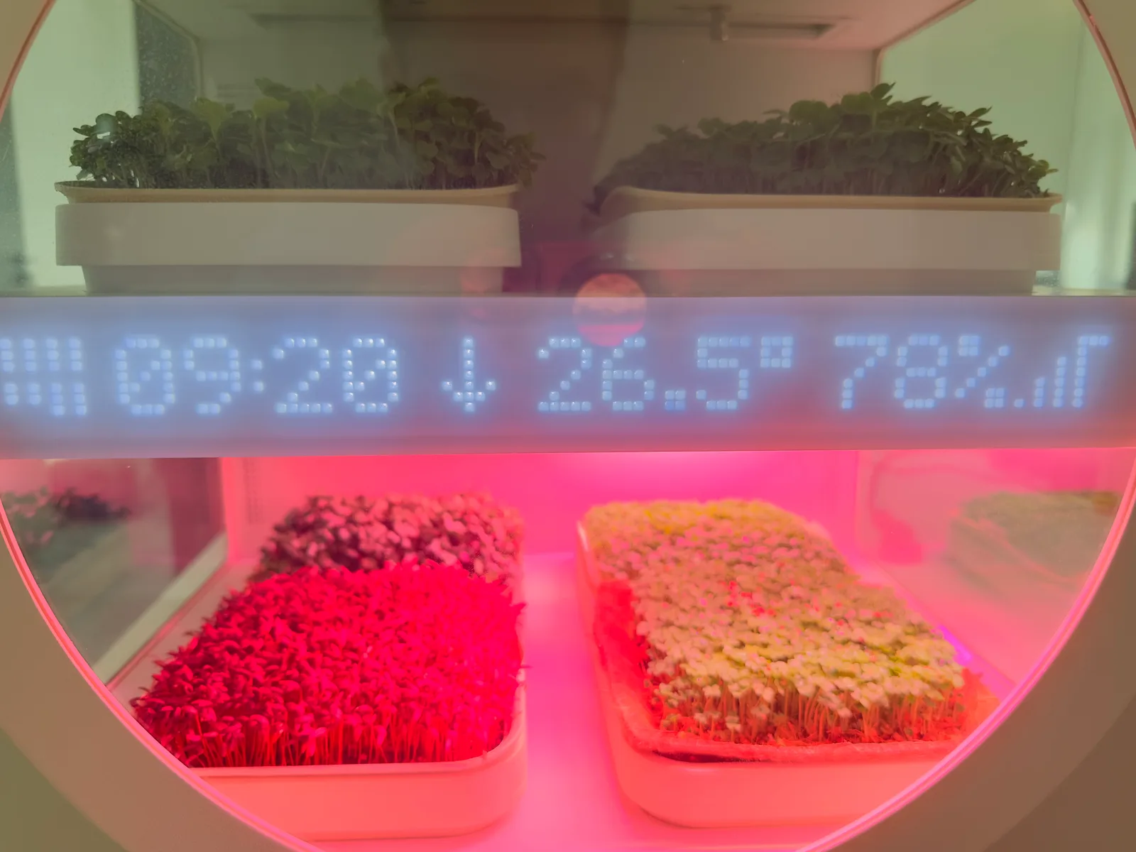 Growth observation imagery from a tray