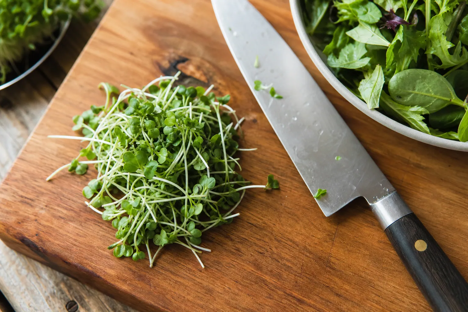 Broccoli Microgreens — photo 1
