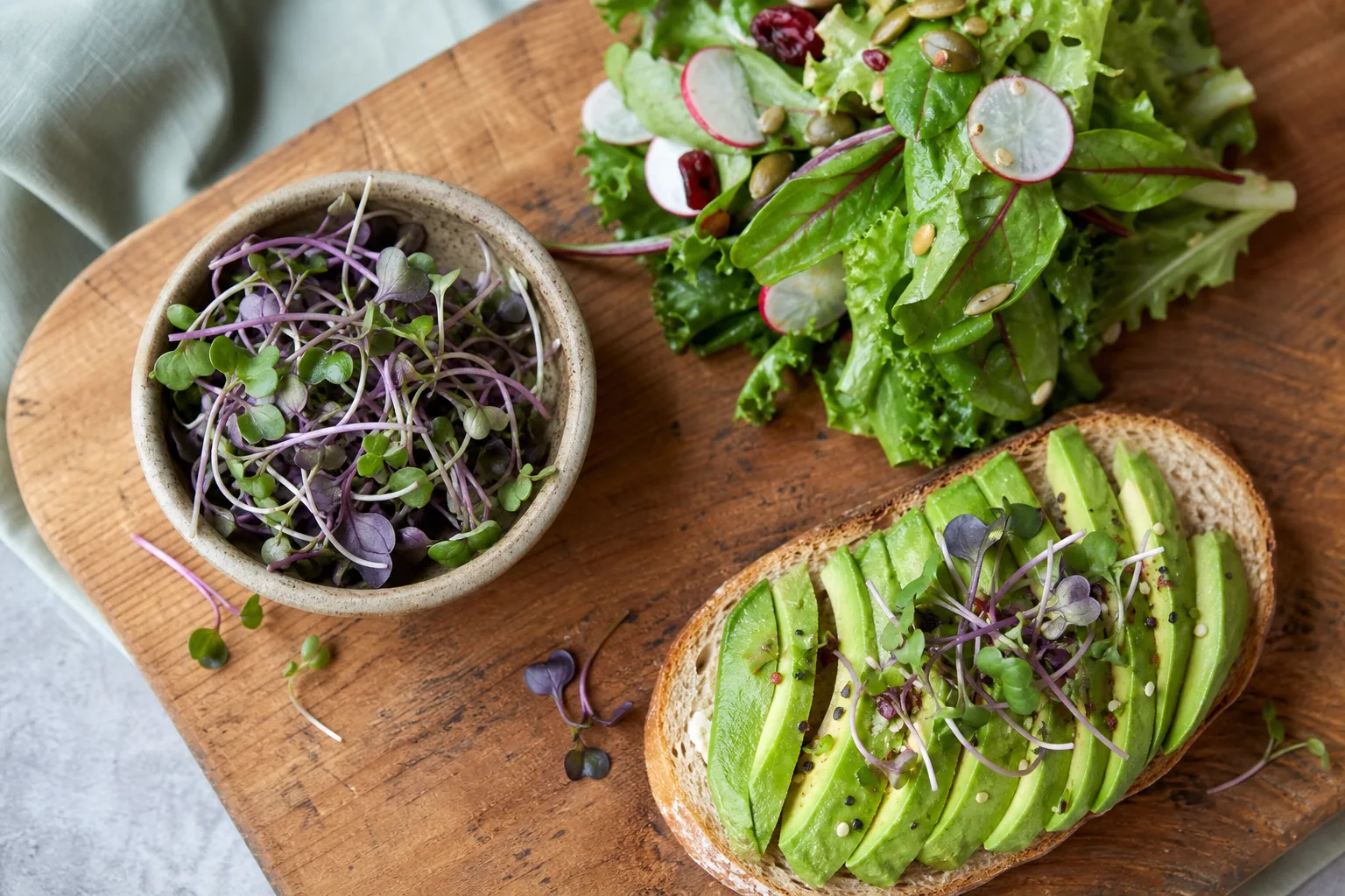 A flat-lay of green and purple cabbage microgreens beside salad and avocado toast