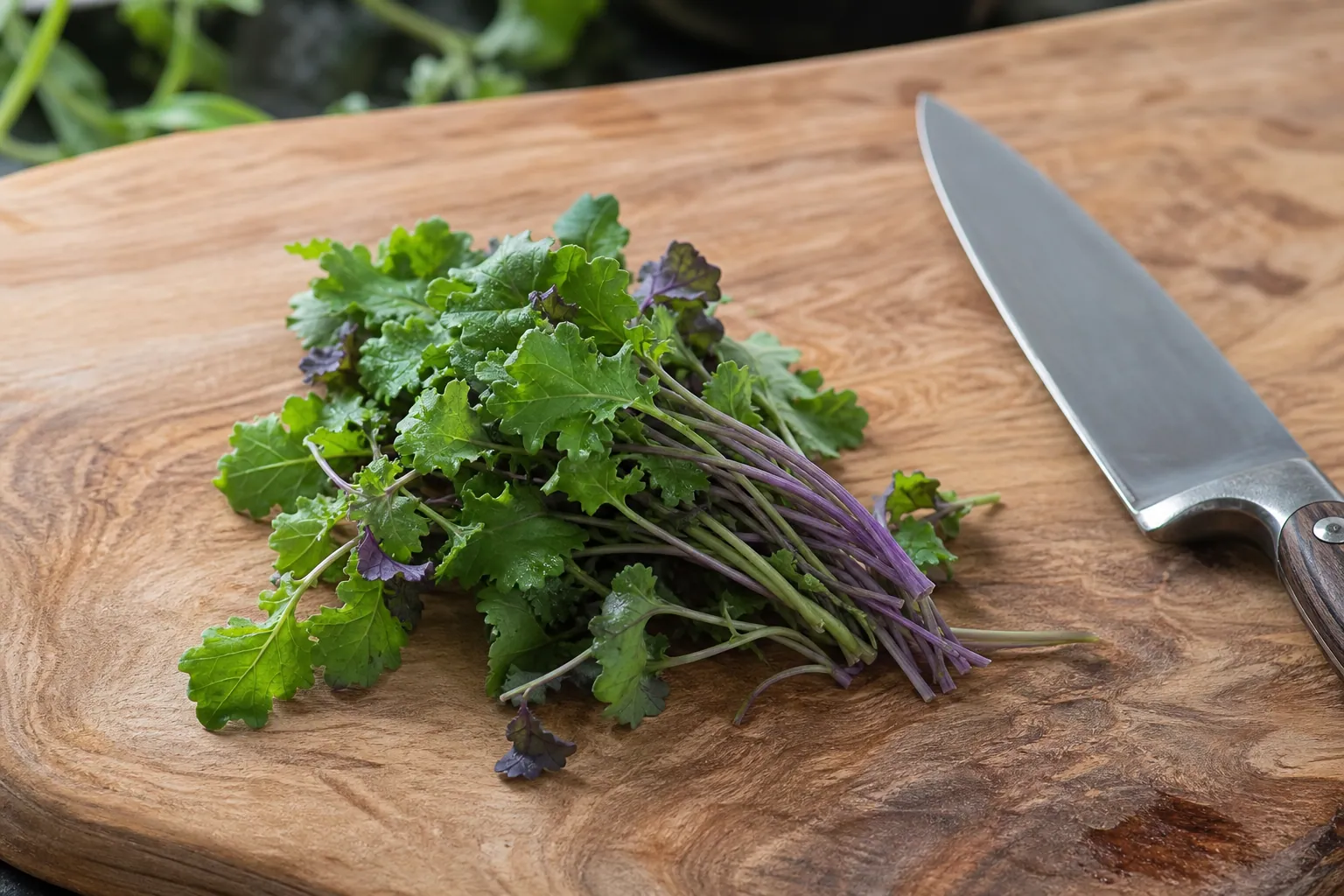 Kale Microgreens — photo 1