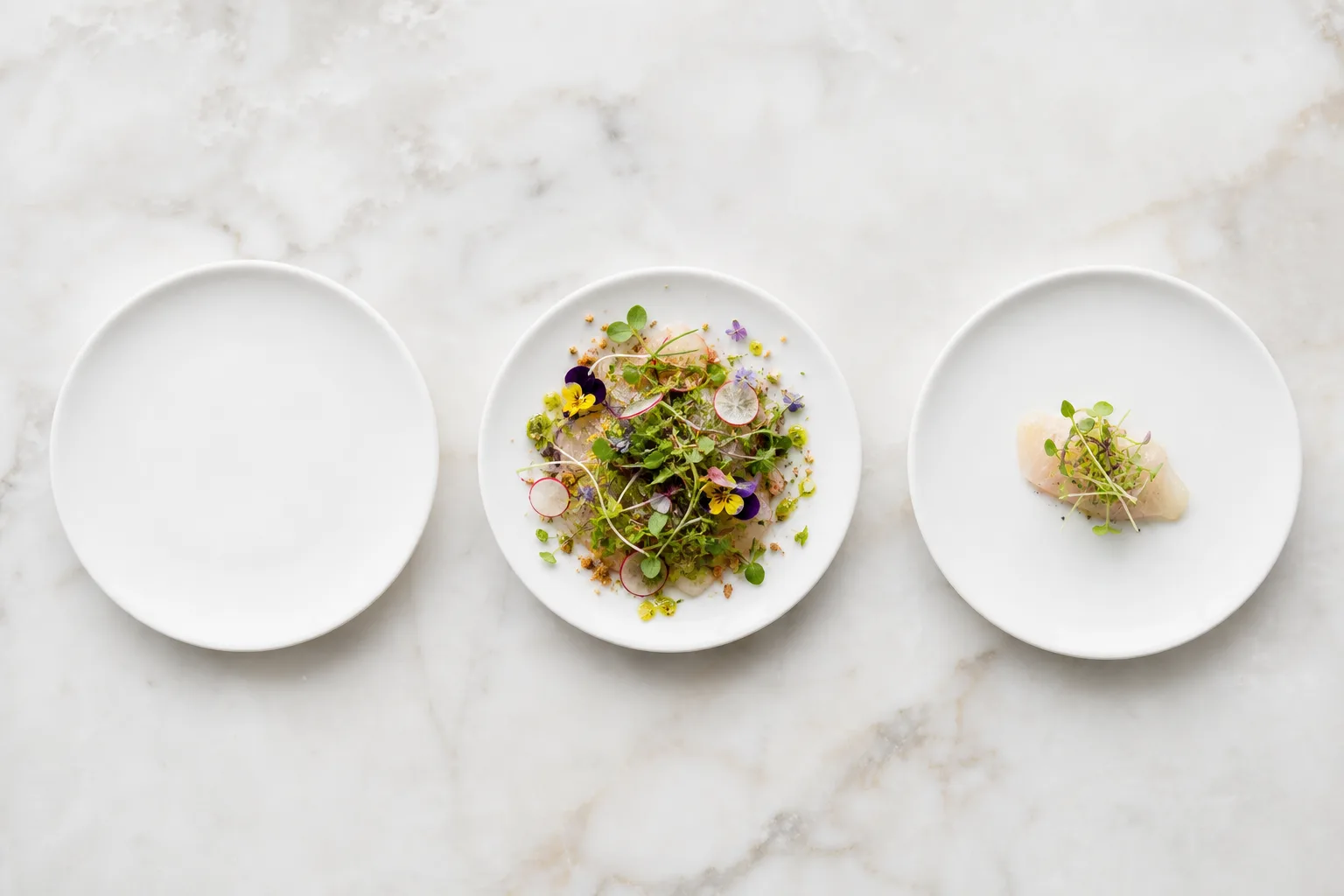 Overhead comparison of a bare plate, an over-garnished plate, and one finished with a single elegant tuft of microgreens