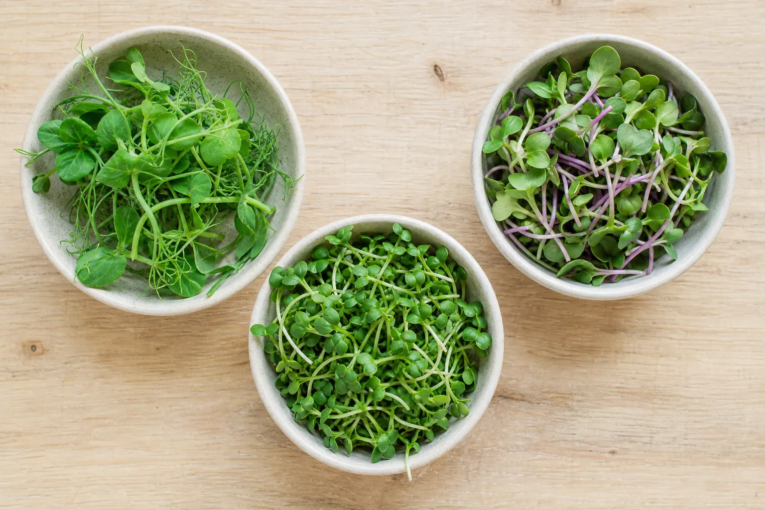 Microgreens Vegan Diet — photo 2