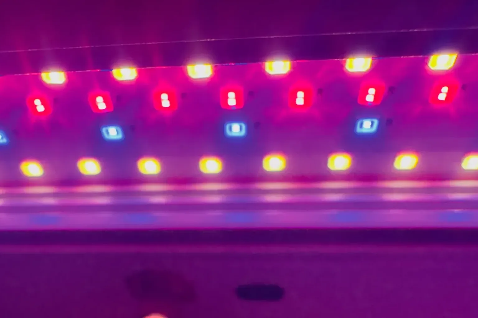 A hand adjusting the light dial on a countertop microgreens grow appliance