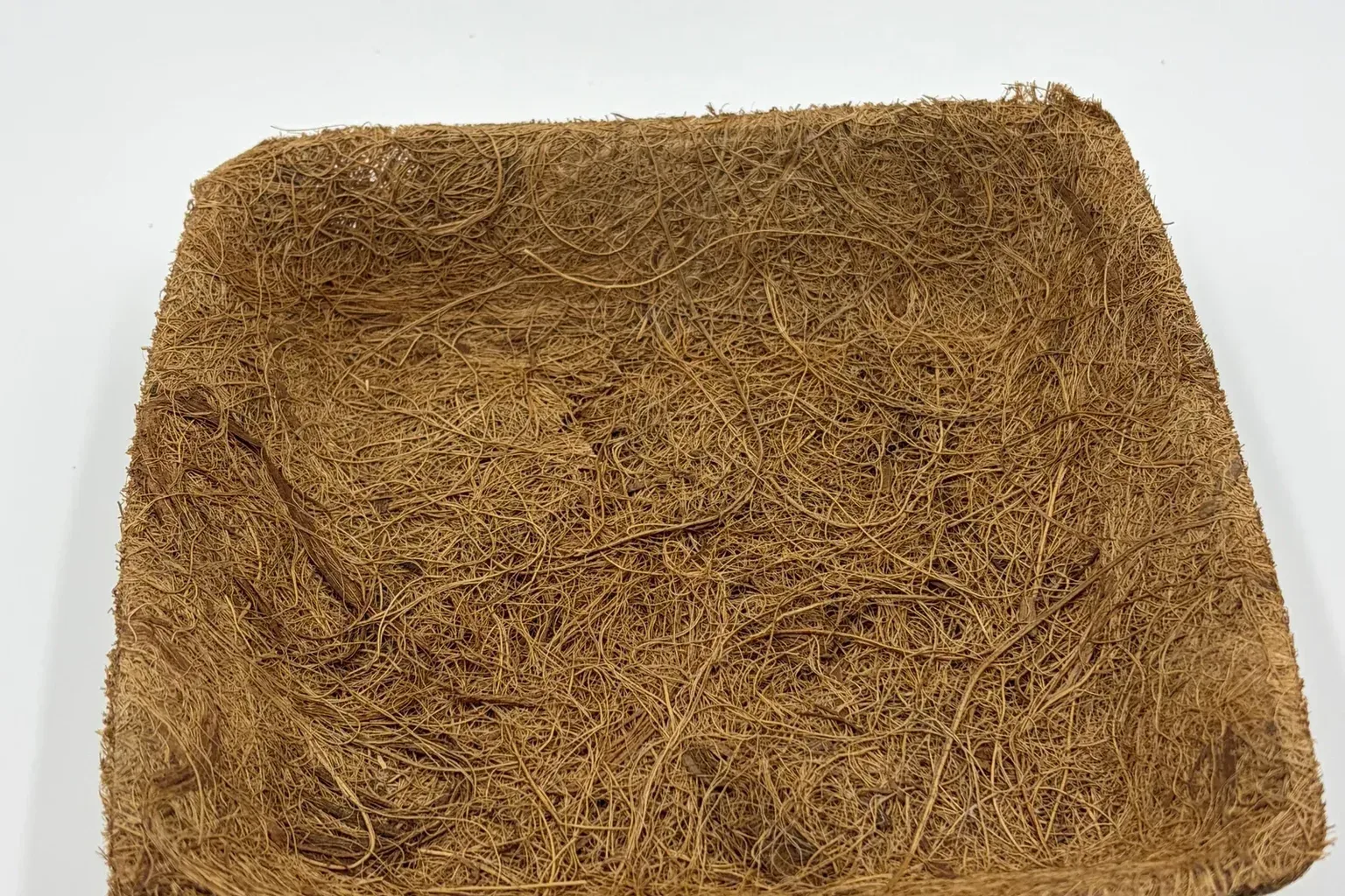 Pre-Seeded Microgreens Tray — photo 2